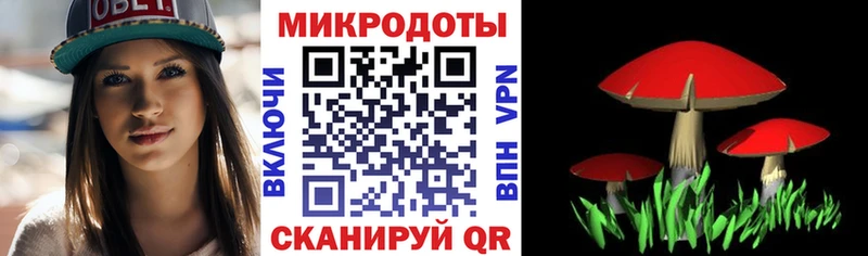 Псилоцибиновые грибы Cubensis Княгинино